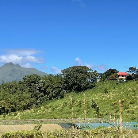Chambre Et Sdb Privative Ylang Ylang Vue Mont Pelee Dans Maison Partagee Le Morne-Rouge Luaran gambar