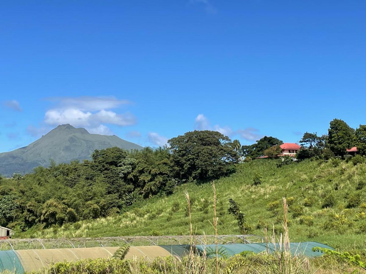 Chambre Et Sdb Privative Ylang Ylang Vue Mont Pelee Dans Maison Partagee Le Morne-Rouge Luaran gambar